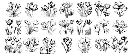 sketch banner set of spring flowers hyacinths for your designのイラスト素材