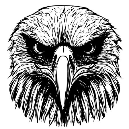 Hand drawn eagle head sketch in black and white vector. Drawing of bald eagle headのイラスト素材
