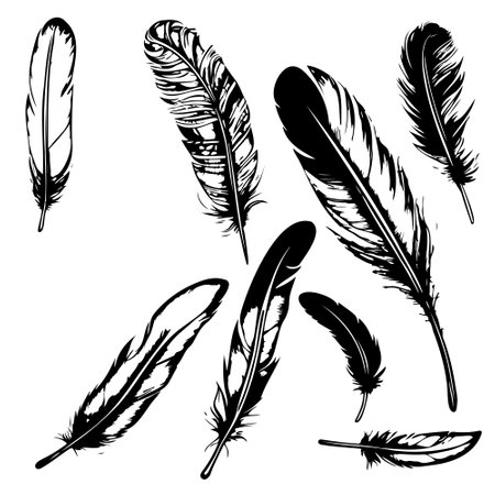 set Hand drawn black fluffy feathers. Vector black and white illustration in sketch form.のイラスト素材