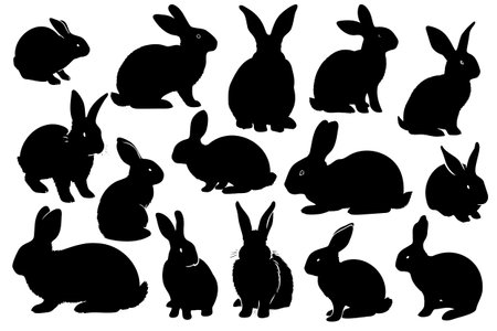 Isolated rabbit on white background, set of different rabbit silhouettes for design use.のイラスト素材