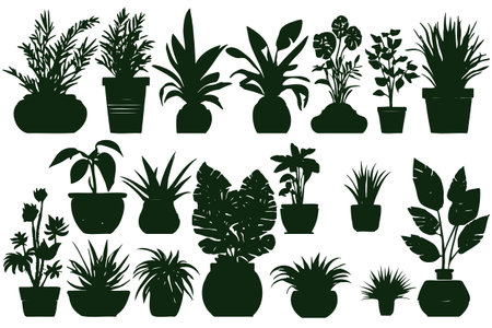 Collection silhouettes houseplants. Potted plants isolated on white. Set green tropical plants. Trendy home decor with indoor plants, plantersのイラスト素材