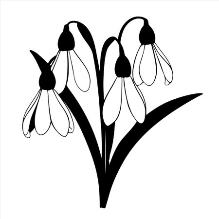 Snowdrop flowers hand drawn sketch Wild flowers Vector illustration.のイラスト素材