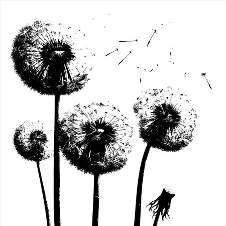Sketch Abstract Dandelions dandelion with flying seeds, vector hand drawnのイラスト素材