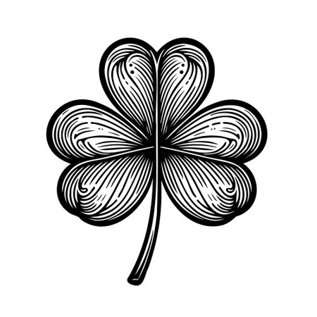 Clover sketch. Hand drawn four leaf clover. Vector illustration, isolated on white.のイラスト素材