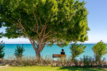 Person sitting on a bench under a large tree, with the sea and mountains in the background, on a sunny day, concept of relaxation and natureの写真素材