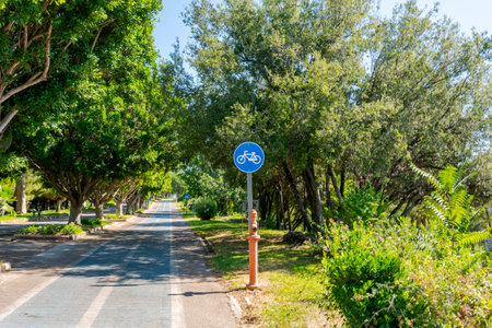 Bicycle lane sign on a road lined with trees in a park on a sunny day, emphasizing a nature-friendly transportation conceptの写真素材
