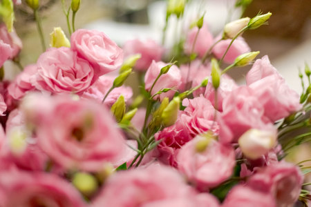 Close up of pink flowers with green leaves. The flowers are arranged in a way that they are all facing the same directionの写真素材