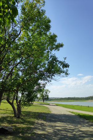 Tree is in the foreground of a path. The sky is blue and clear. There is a body of water in the...