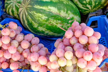 Bunch of grapes and a watermelon are on display. The grapes are in a blue container and the watermelon is on a tableの写真素材