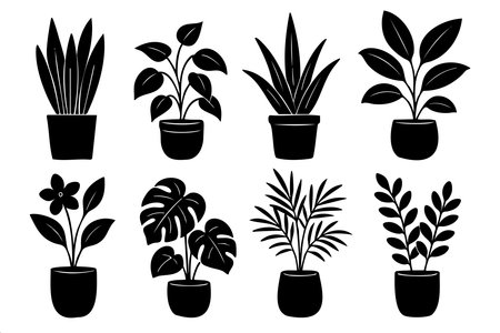A set of potted plants in black and white. The plants are arranged in a row and are of different sizesのイラスト素材