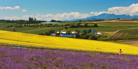 Hokkaido in JAPAN