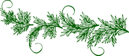 Hand drawing and a sketch of Daisy flower with line art illustration.のイラスト素材