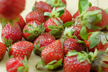 Strawberries on the table. Close-up. Selective focus.の写真素材