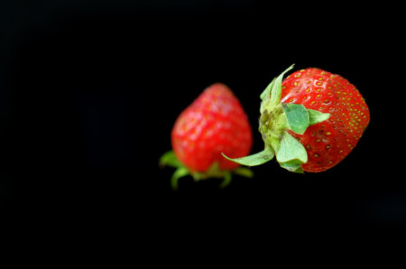 strawberry isolated on a black background. macro. selective focusの写真素材