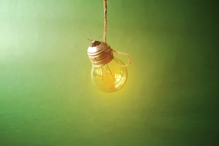 Light bulb hanging on a rope on a green background with space for textの写真素材