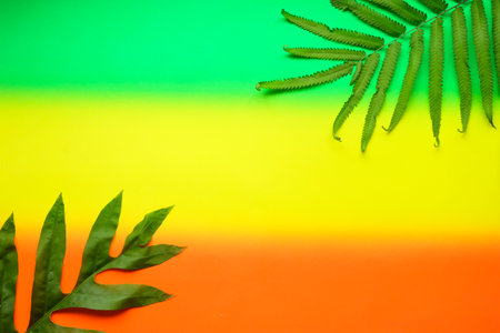 Tropical palm leaves on colorful background. Flat lay, top view.の写真素材