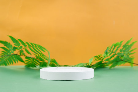 White podium for product presentation with green fern leaves on orange background