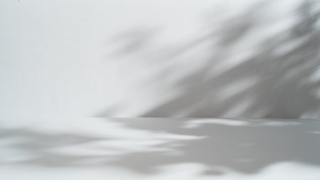 Abstract gray studio background for product presentation, copy spaceの写真素材