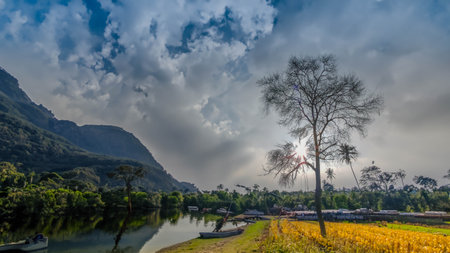 Panoramic view of a lake with a tree in the foregroundの写真素材