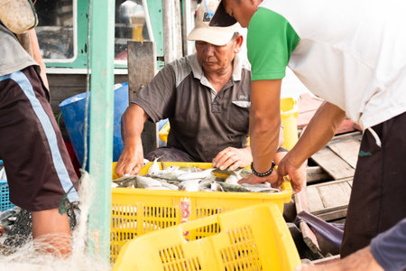 Lampung, Indonesia, June 17 2023: Fishermen sorting fish in baskets. Fresh fish in baskets freshly caught from the sea for sale at fish auction, Indonesiaのeditorial素材