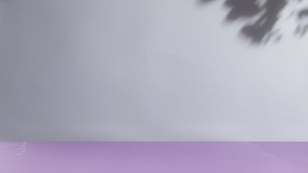 Abstract light grey studio background for product presentation, copy spaceの写真素材