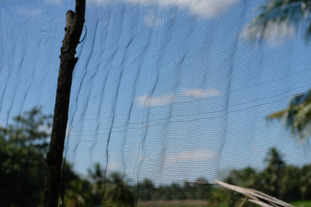 Close-up of a net on a background of blue sky.の写真素材