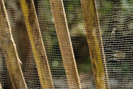livestock animal protection abstract netting background, closeupの写真素材