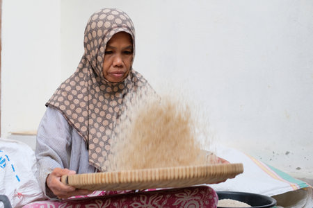 Asian old woman winnowing rice using a traditional basket to clean the rice from the husks, ensuring...