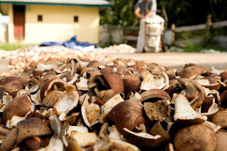 Dried copra from selected coconuts is used to extract coconut oil