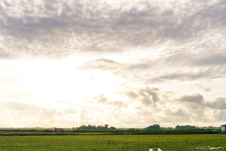 Bright Sunlight Across A Wide Open Field Underneath A Cloudy Skyの写真素材