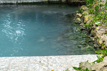 Clear Turquoise Water Pool With Rocks And Plantsの写真素材