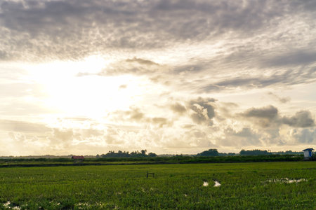 Serene Landscape Scene Over Lush Meadowの写真素材