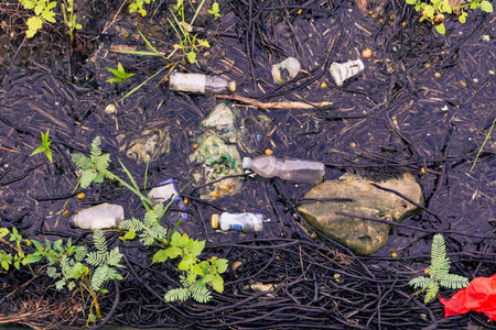 Plastic Waste In Dark Water Surrounded By Vegetationの写真素材