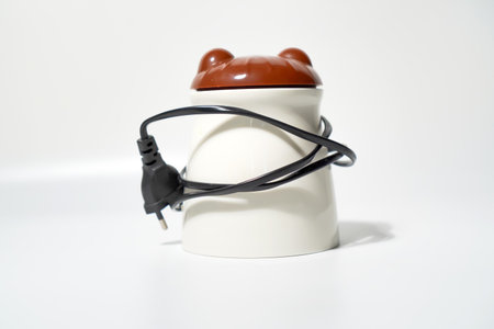 Ceramic Frog Container With Cord On White Backgroundの写真素材