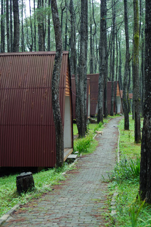 Rustic Metal Cabins Line a Stone Path Through a Lush Green Forestの写真素材