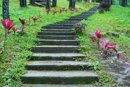 Stairway in the park with green grass and flowers, Thailand.の写真素材
