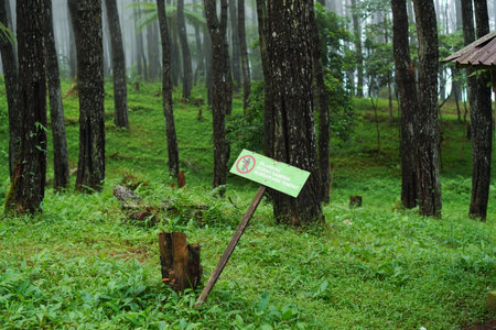 No entry sign in the rain forest, Doi Inthanon National Park, Chiang Mai, Thailandの写真素材