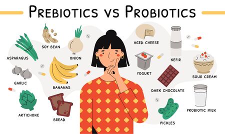 Flat vector illustration of a female thinking about differences between probiotics and prebiotics....