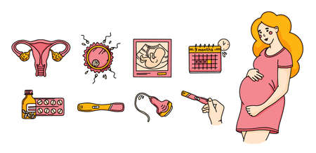 Pregnancy set in Doodle style with woman. Vector illustration hand drawingのイラスト素材