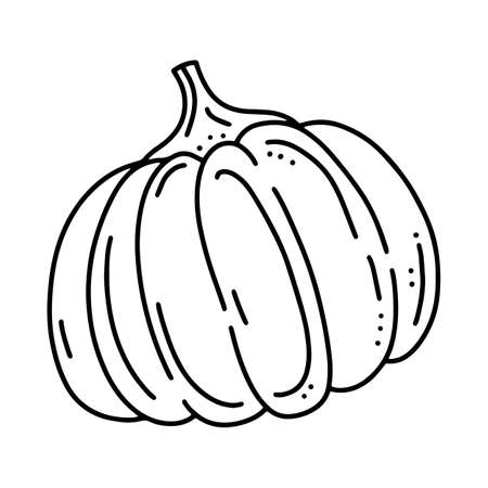 Pumpkin linear vector icon in doodle styleのイラスト素材