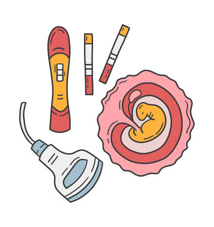 Pregnancy tests, embryo in the womb and ultrasoundのイラスト素材