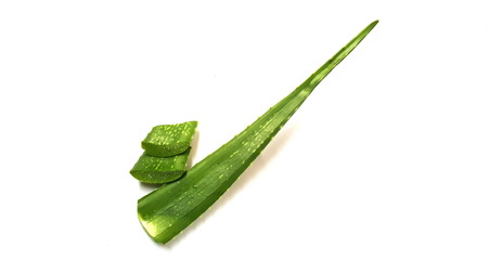 The aloe vera shreds and then arranged on white background. The texture of aloe vera is clear. The aloe vera use for cosmetic and healthy,の写真素材