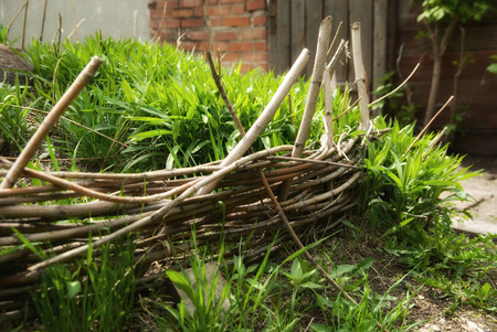 Wicker fence for plants. Old bed with plants in front of the old houseの写真素材