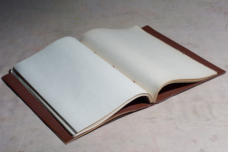 Old blank book disclosed. Space for writing text vintage. manuscriptの写真素材