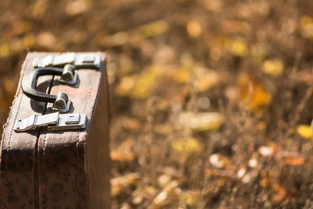 Suitcase standing on the grass with yellow and orange leaves. Autumn trip.の写真素材