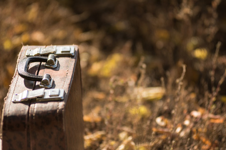 Suitcase standing on the grass with yellow and orange leaves. Autumn tripの写真素材