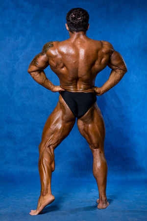 Athletic sports bodybuilder demonstrates posture from the back. Mandatory poses bodybuilders. On a blue backgroundの写真素材