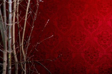 Branch of a tree on a red background with a pattern. Background for designer horizontalの写真素材