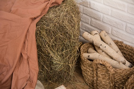 Hay and birch firewood in a room on the floor against a light wall in a country houseの写真素材