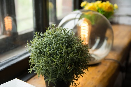 Yellow flowers in a pot and a round electric lamp on an old window-sill.の写真素材